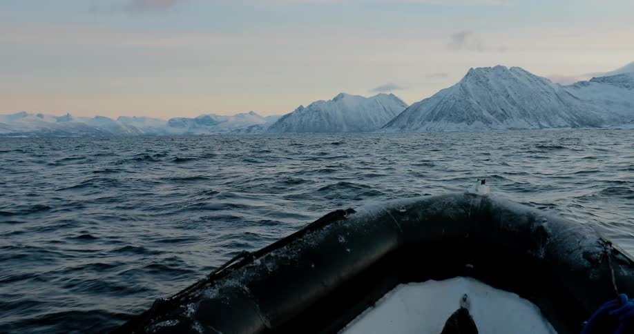 Raft travels on the open water near whales