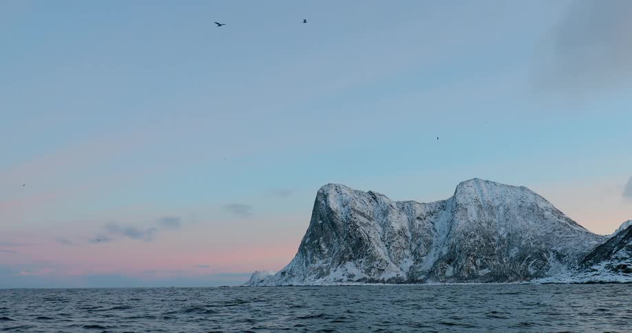 Water flows around a small mountain as birds fly overhead