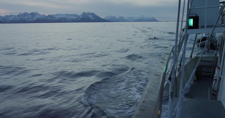 A boat travels on the water