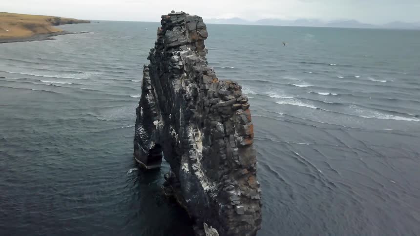 Seagulls fly around a rock formation on an ocean coast