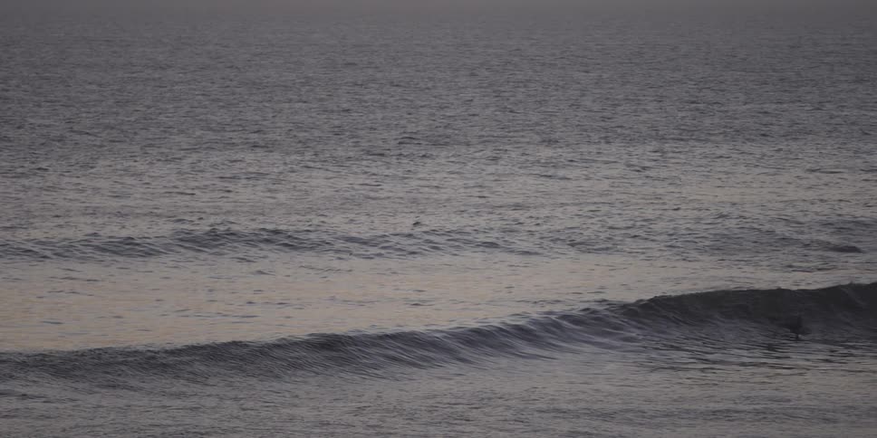 Large body of water with waves forming and surfers floating