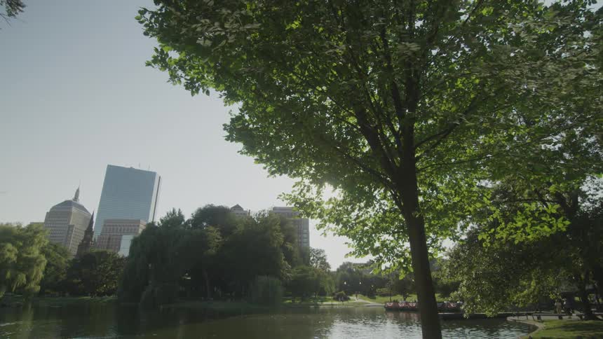 A small body of water sits before a city