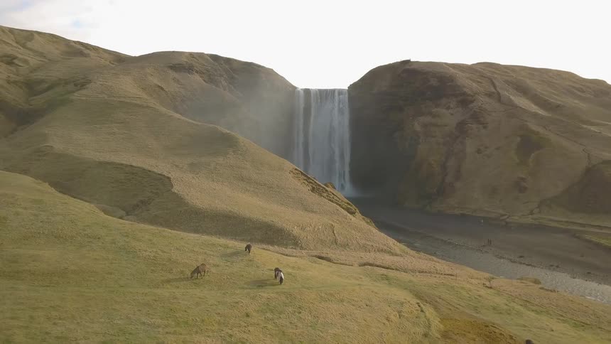 Ponies are grazing on a hillside near a waterfall during the day