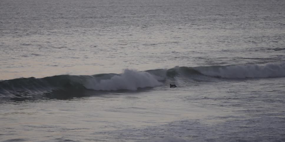 Person in the water dives under a wave