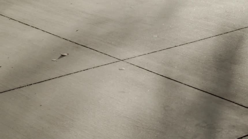 Sunlight shines on concrete ground