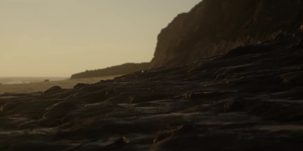 A beach at dawn