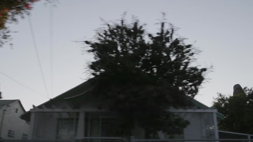 Houses line a neighborhood street at dawn