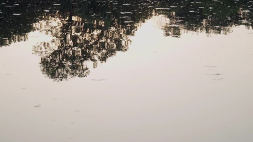 Still water reflects trees at sunset