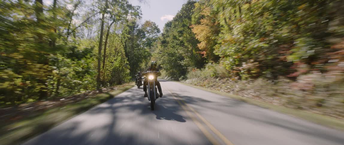 Motorcyclists riding a paved road through a treed area on a fall day