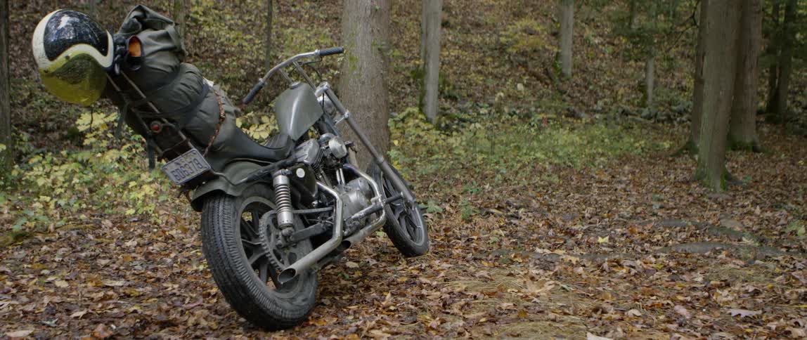 A motorcycle is parked in a forest