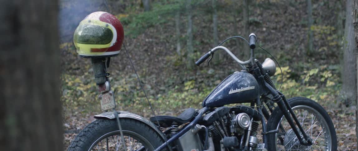 A motorcycle is parked by the woods