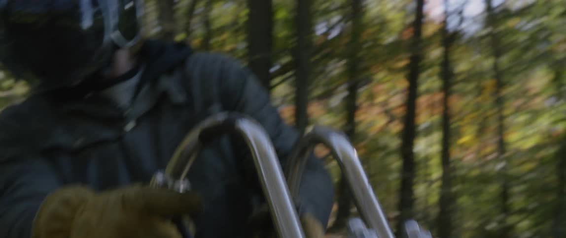 A motorcyclist is stopped near trees