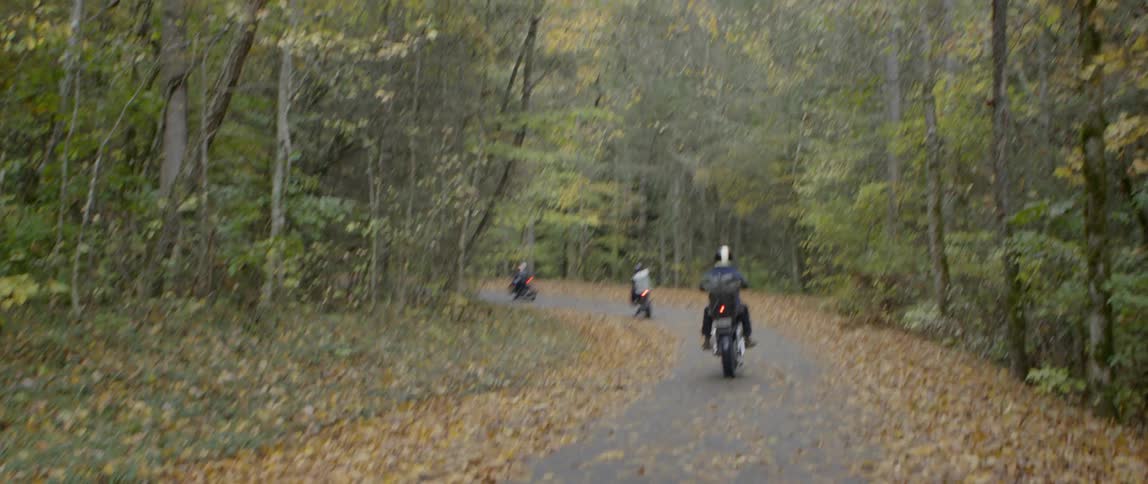 Motorcyclists travel down a forest road