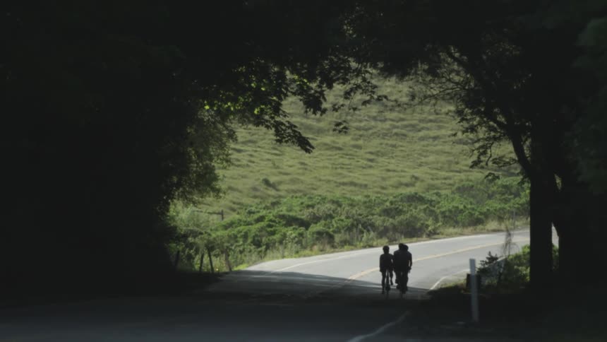 Three people riding bicycles down a paved road, underneath a canopy of trees