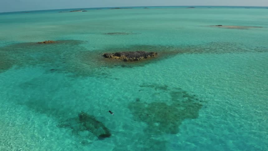 A diver swims in clear blue water