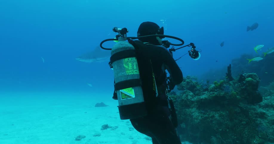 A diver swims at the bottom of the ocean with sharks