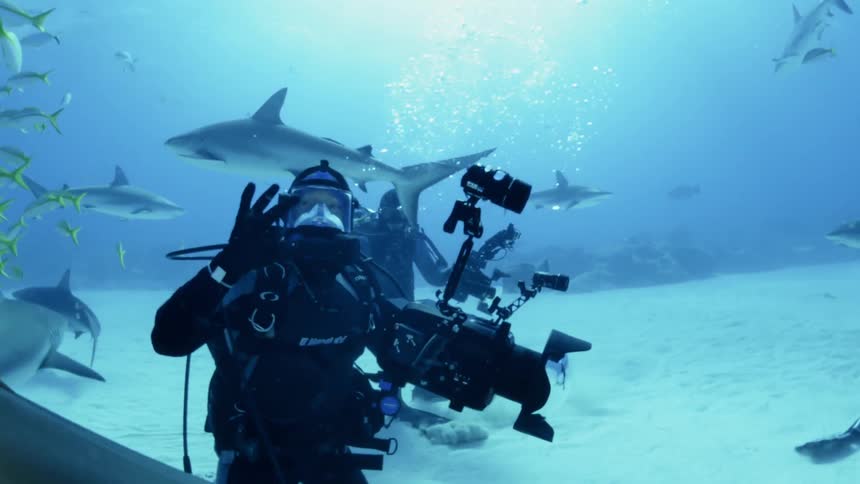 A diver celebrates underwater as sharks swim by