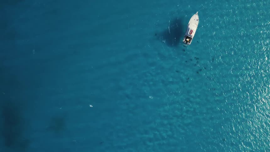 A boat floats in the water and under the surface fish approach it