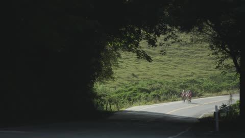Bicyclists and a motorcyclist ride into and out of a tunnel of tree foliage
