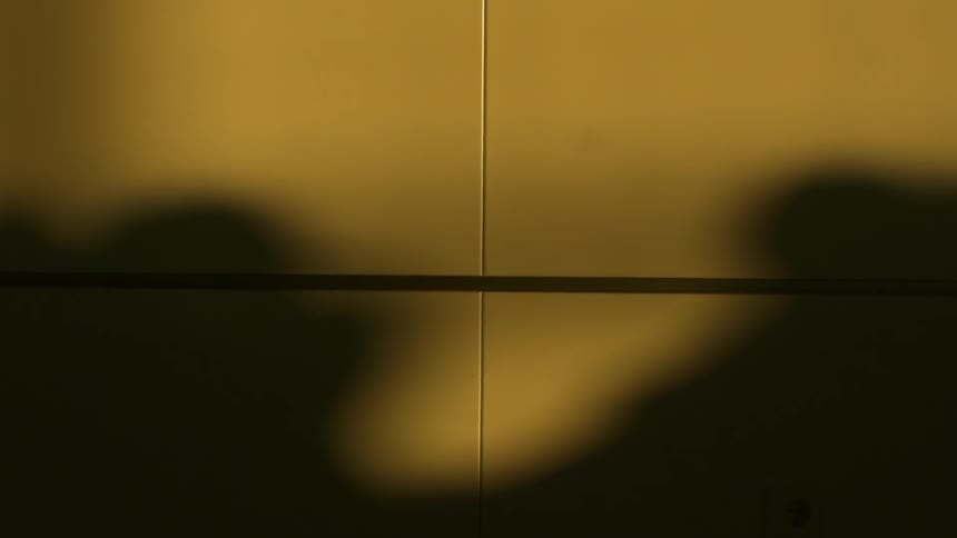 Shadows of people moving cast on a wall by a sunset