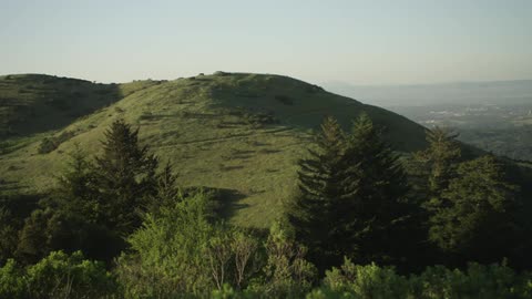 A grassy hill top