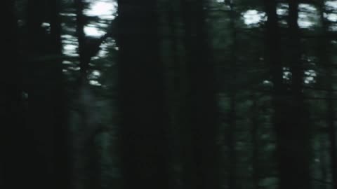 Passing by a forest quickly