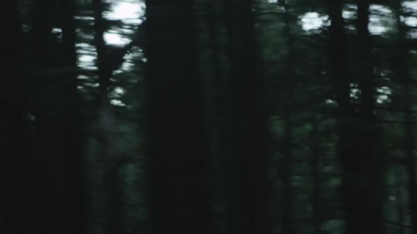 Passing by a forest quickly