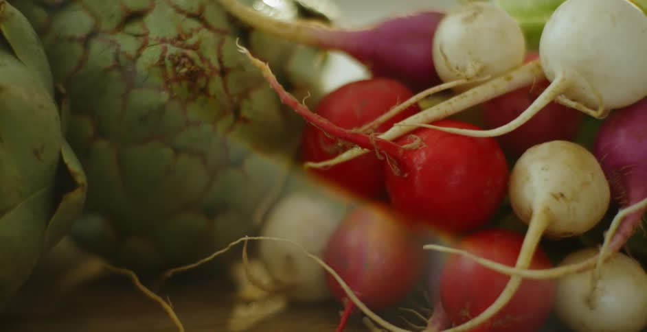 Several artichokes and radishes illuminated by the sun