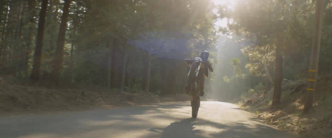 Man riding a wheelie on his motorcycle  a road through a forest area