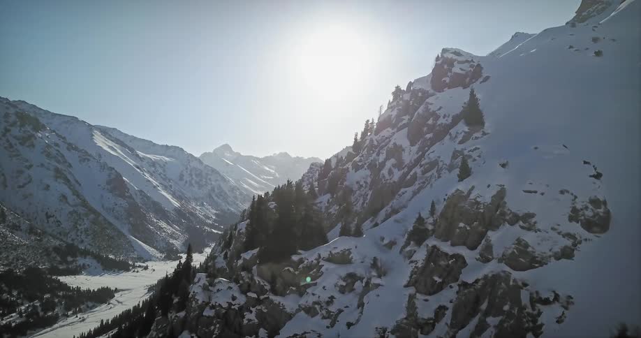 Trees cover the side of a tall mountain