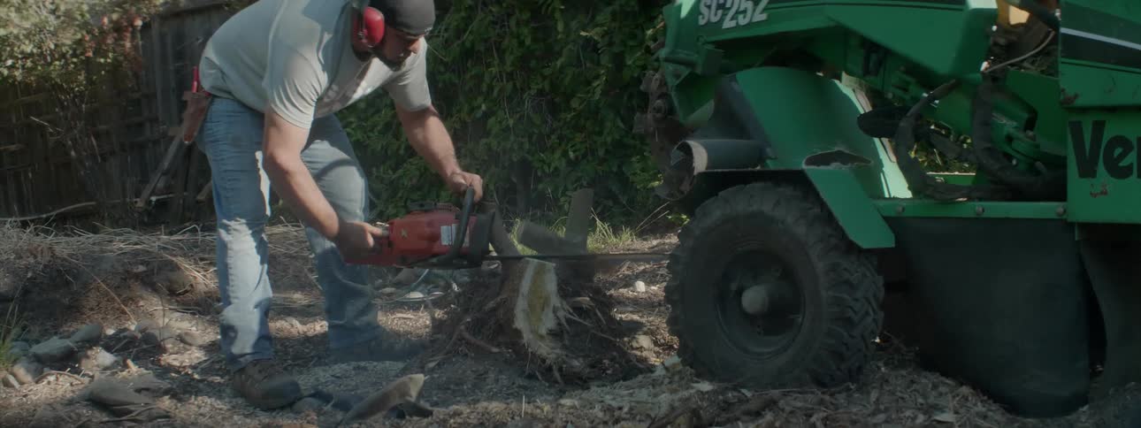 A landscaper uses a chainsaw to cut down a tree stump