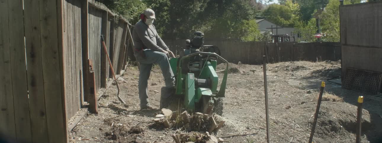 A man trims a tree trunk