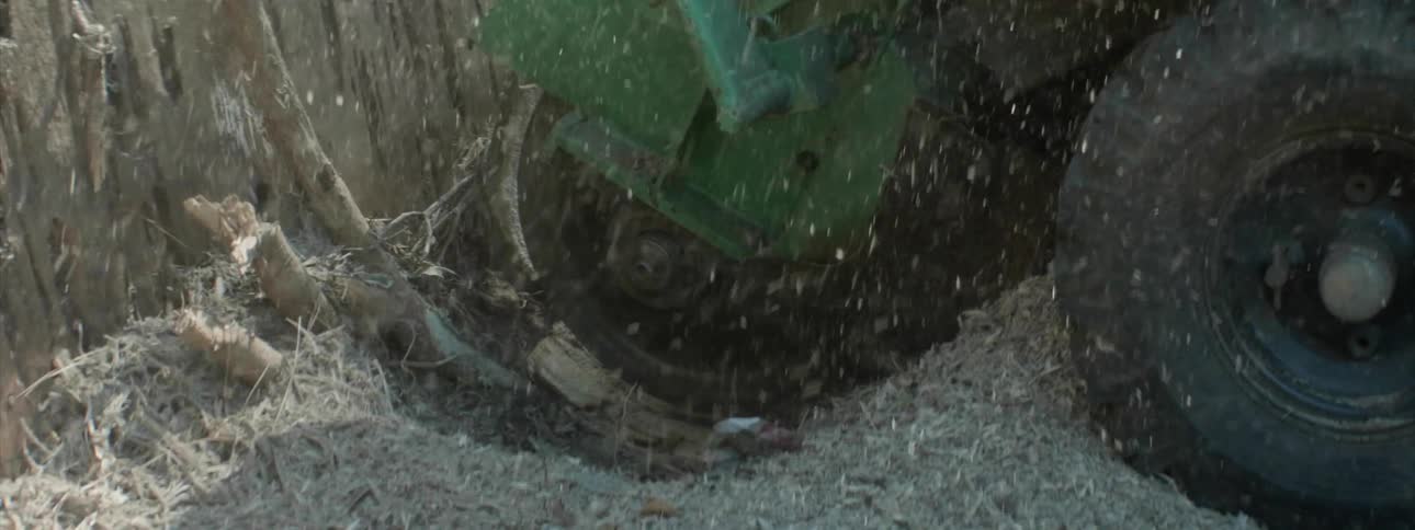 Sawdust sprays off of a stump being grinded