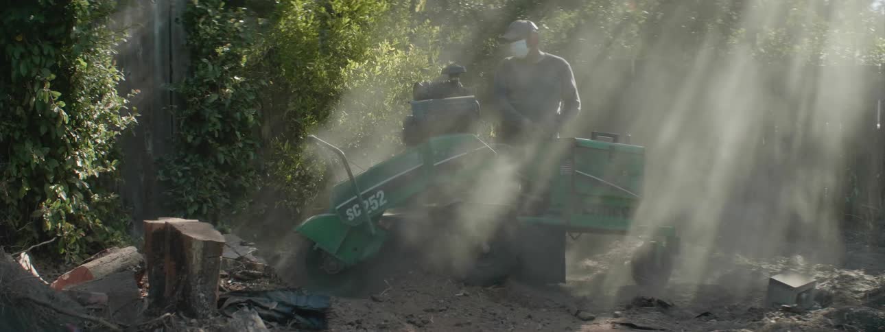 A man grinds a tree stump with a grinder saw