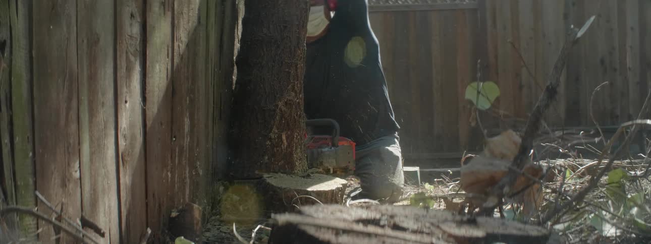 Man wears ear protectors as he saws a tree