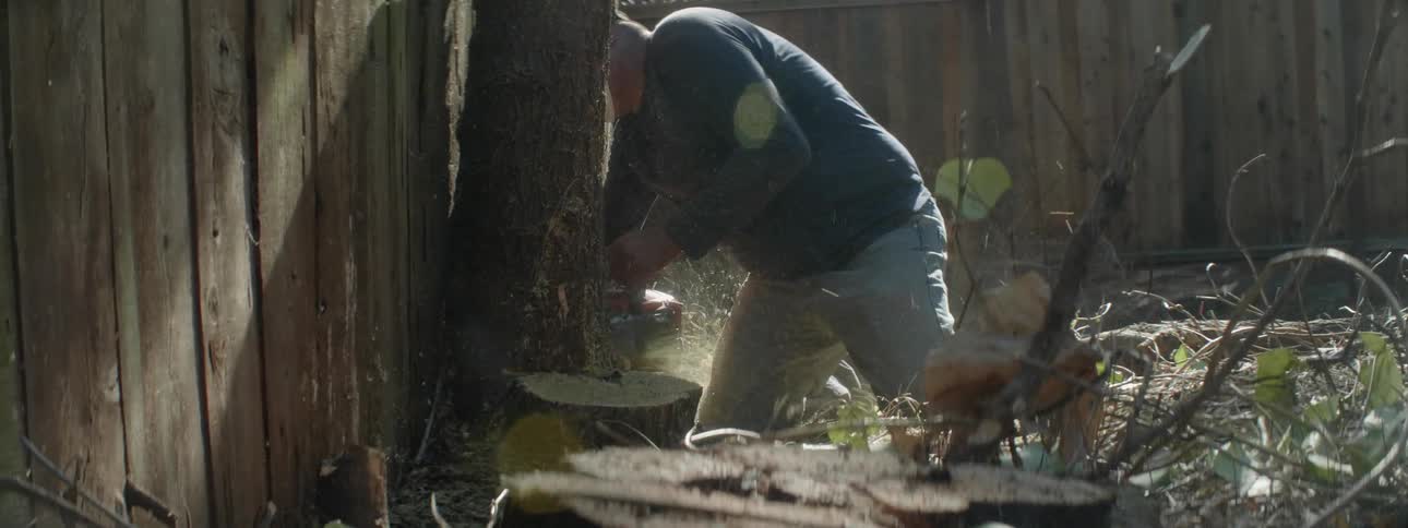 A man is cutting down a tree in a yard during the day