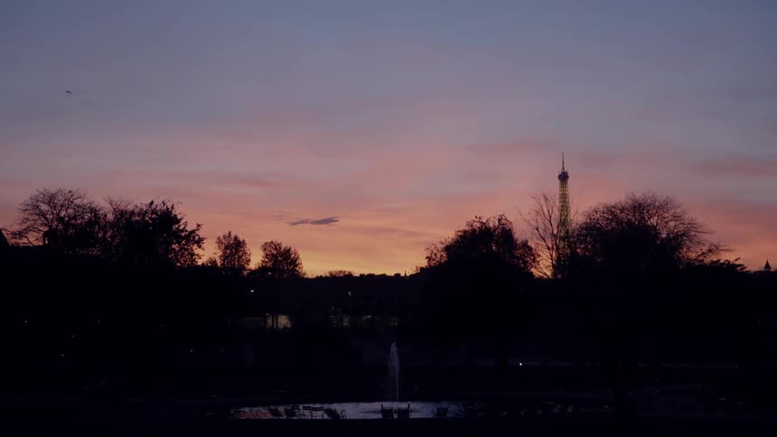 The top of a tower shows above trees at dusk