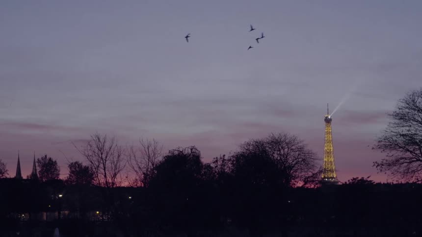 Birds fly above a tower at dusk