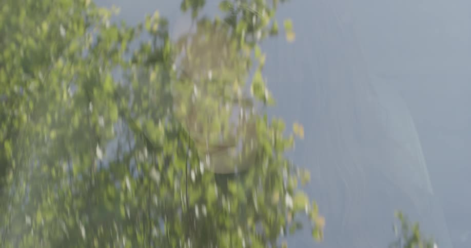 A girl is reflected in a car window while traveling