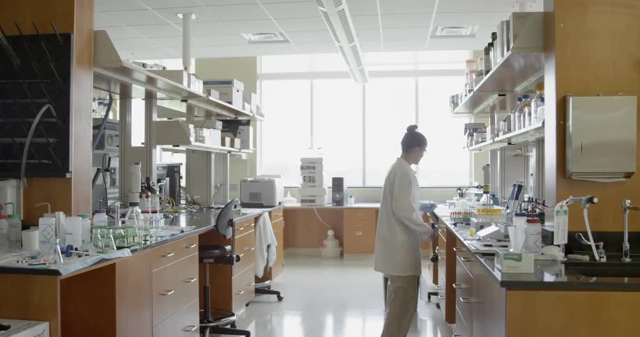 A scientist works in a laboratory