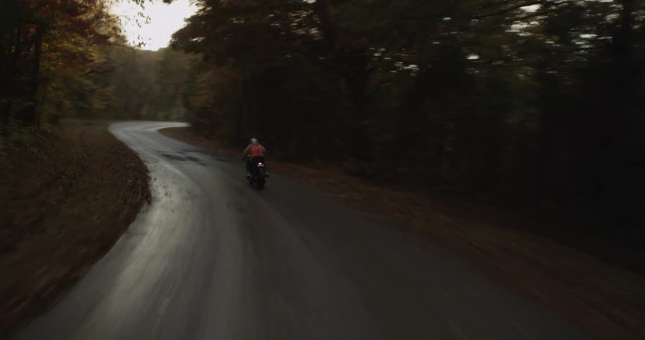 Person riding a motorcycle down a winding tree lined road