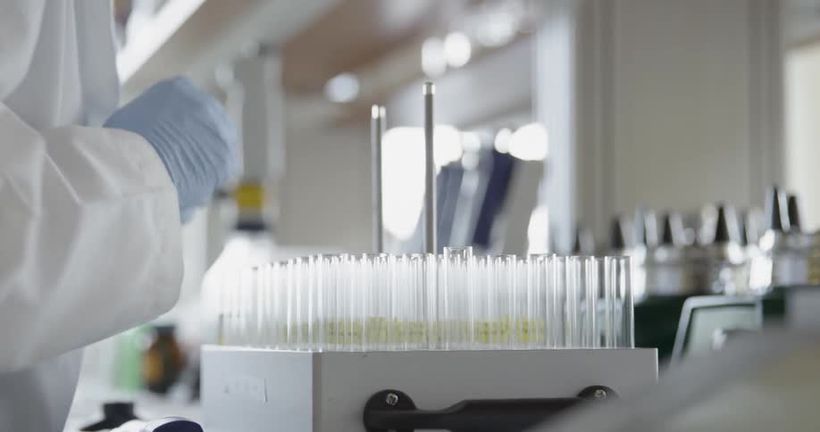 A scientist works in a laboratory