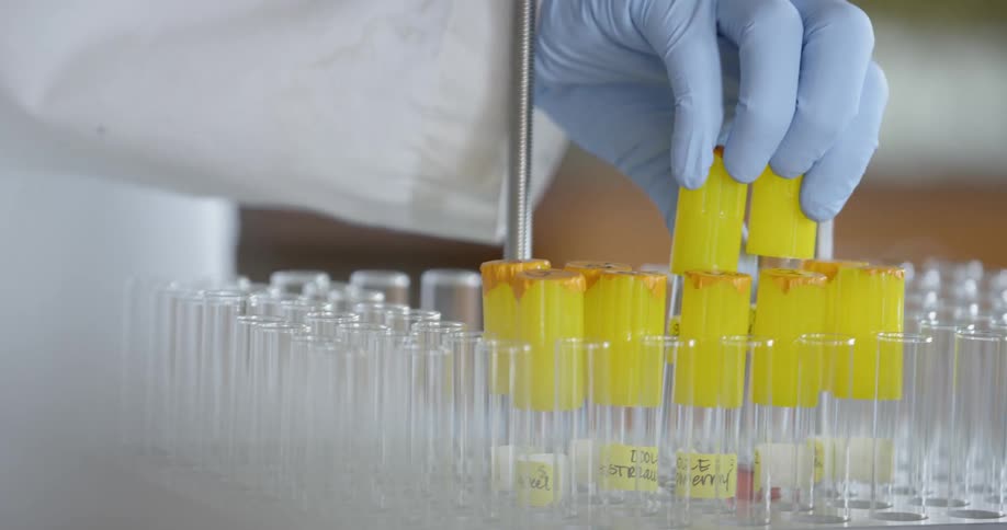 A laboratory worker inspects vials