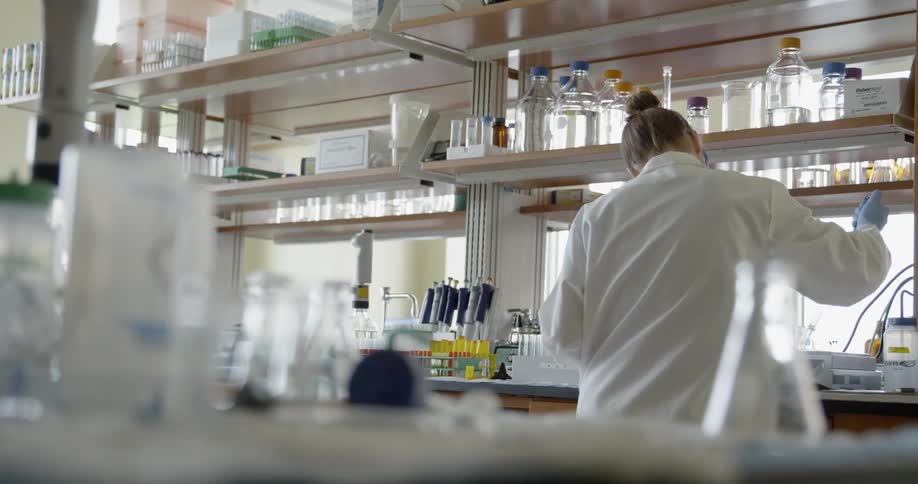 A scientist works in a laboratory