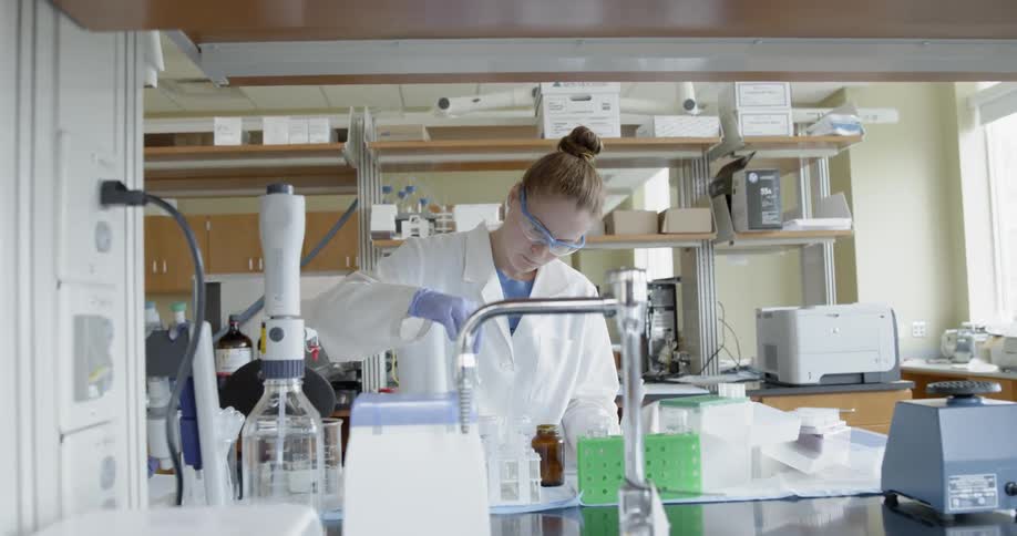 A scientist is working in the lab