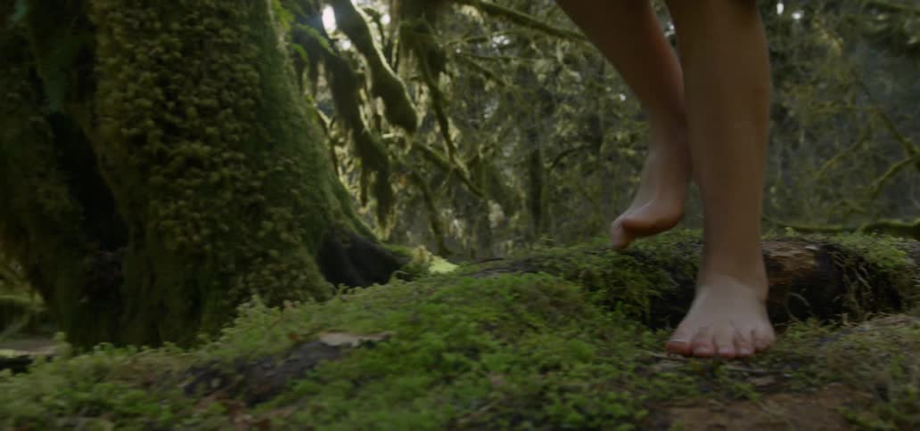 A person walks on a moss covered log