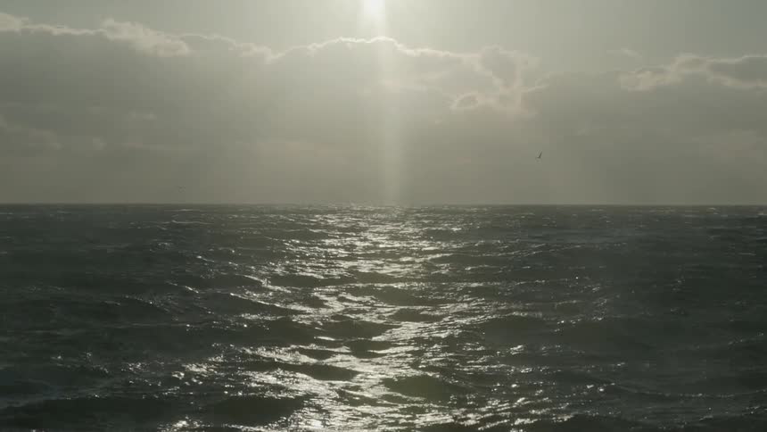 Ocean waves roll and shine in the sunlight