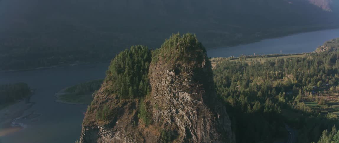 Trees and plants cover a tall rock cliff