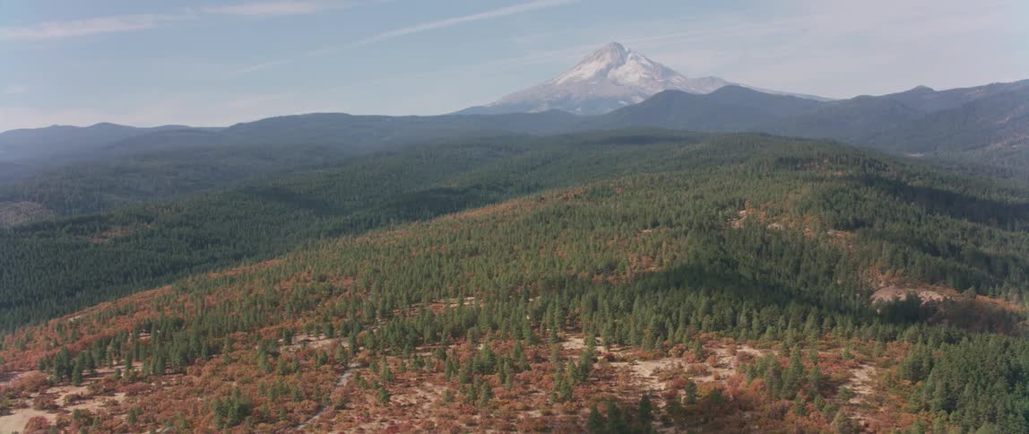 Trees cover the landscape in front of a snowy mountain