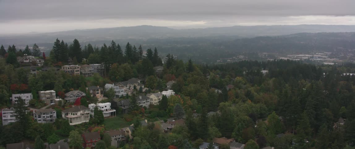 Trees and buildings cover the side of the hill